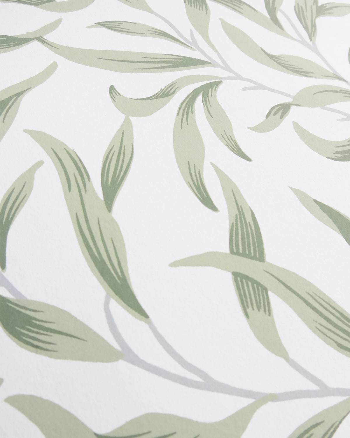 Helice Budding Sage Trailing Willow Leaf Unpasted Wallpaper Detail from Finish Theory