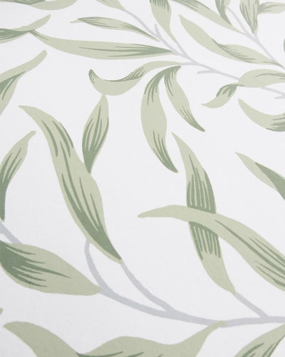 Helice Budding Sage Trailing Willow Leaf Unpasted Wallpaper Detail from Finish Theory