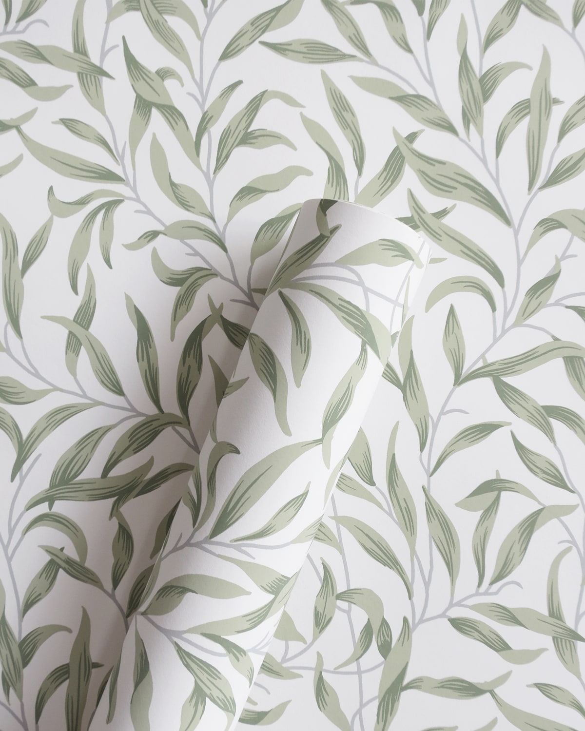 Helice Budding Sage Trailing Willow Leaf Unpasted Wallpaper Roll from Finish Theory