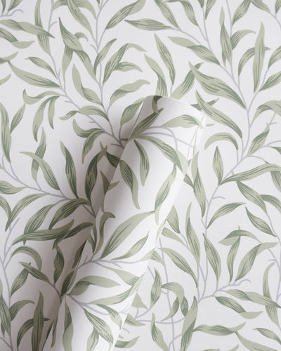Helice Budding Sage Trailing Willow Leaf Unpasted Wallpaper Roll from Finish Theory