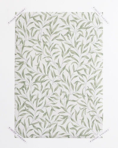 Helice Budding Sage Trailing Willow Leaf Unpasted Wallpaper from Finish Theory